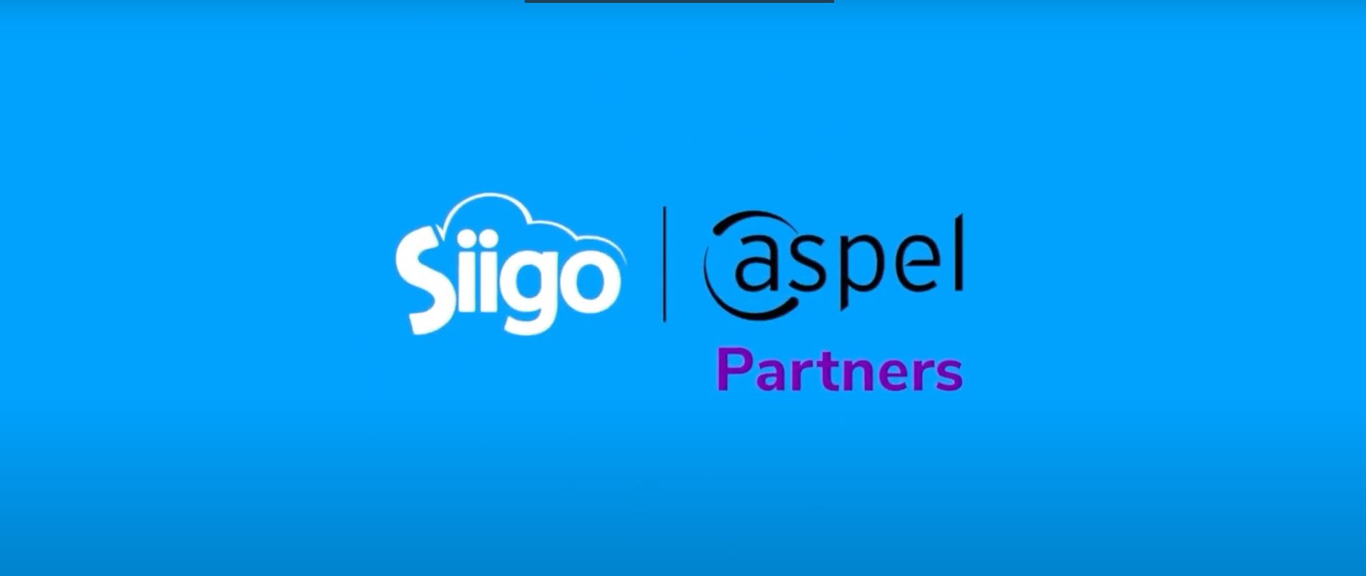 Siigo partners